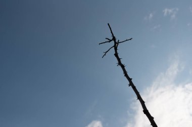 Mavi yaz gökyüzü arka planında beyaz bulutlar. Yaz gökyüzü