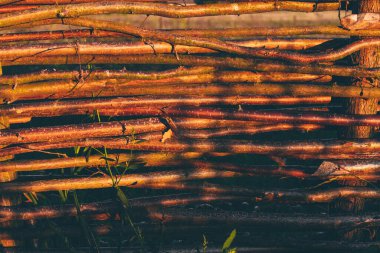 Asmadan çit hasarı, doku, arka plan. Hasır asma çiti. Örülmüş asma dokusu kabartmalı arka plan. El sanatları, piknik veya bahçıvanlık için uygun organik söğüt hasır çit paneli