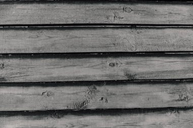 Ağaç kabuğu dokusu. Ağaç kabuğu dokusu. Gün ışığında bir ağacın parçası. Tasarımcıların faturası. Ağaç ve yapının kabuk dokusu. Tasarımcıların faturası. Geçmişi. Ağaç. Tahtalar.