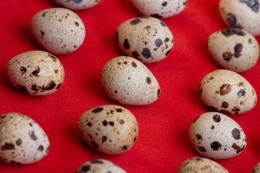 Kırmızı arka planda yaratıcı bıldırcın yumurtası yerleşimi. Mutlu Paskalyalar. Minimum tasarım. Kırmızı arka planda bıldırcın yumurtası. Faydalı bir ürün. Protein