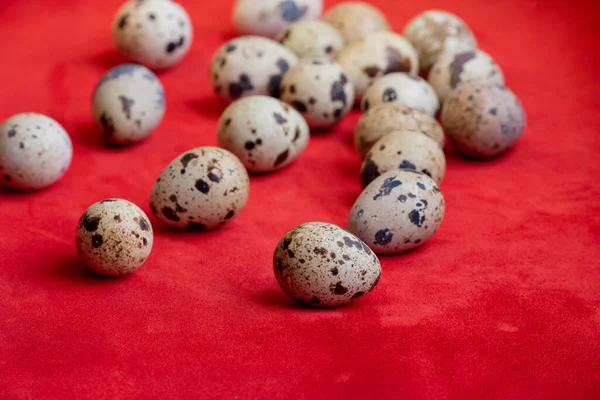 Креативная Раскладка Перепелиного Яйца Красном Фоне Счастливой Пасхальной Концепции Минимальный — стоковое фото