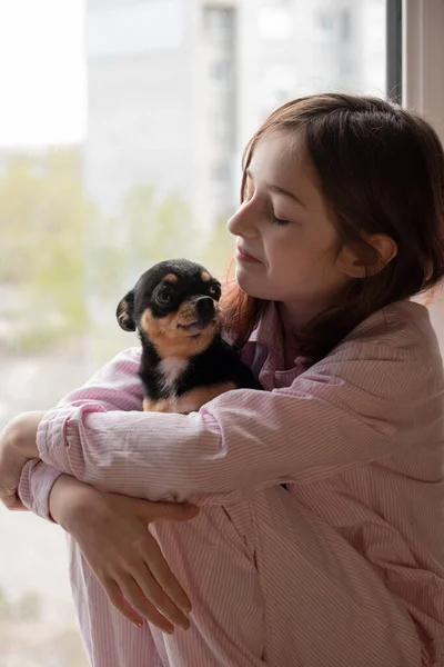 Fille Chien Une Fille Tenant Chihuahua Fille Avec Son Animal — Photo