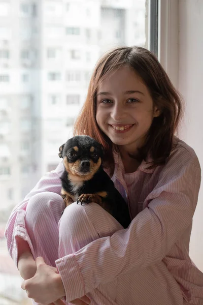 Rapariga Cão Menina Segurando Chihuahua Menina Com Seu Animal Estimação — Fotografia de Stock