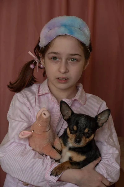 Dívka Pes Dívka Držící Čivavu Dívka Svým Mazlíčkem Náručí Chihuahua — Stock fotografie