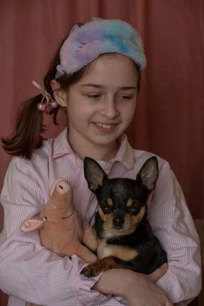 Chica Perro Chica Sosteniendo Chihuahua Chica Con Mascota Sus Brazos — Foto de Stock