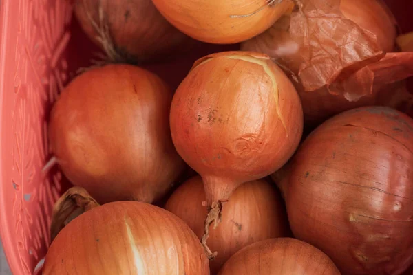 Onion Onions Basket Large Onion Harvest Basket Bulb Onion Rich — Stock Photo, Image