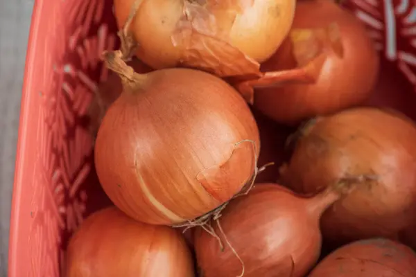 Onion Onions Basket Large Onion Harvest Basket Bulb Onion Rich — Stock Photo, Image