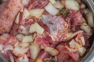 Kebap. Domuz eti ve doğranmış soğan. Yakın plan çekilmiş. Barbeküde soğanlı domuz eti dilimlenmiş. Baharatlı çiğ domuz eti, salamura et. Et yemeği hazırlığı için hazırlık.