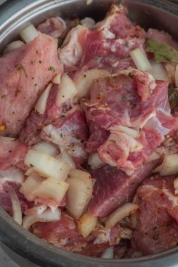 Kebap. Domuz eti ve doğranmış soğan. Yakın plan çekilmiş. Barbeküde soğanlı domuz eti dilimlenmiş. Baharatlı çiğ domuz eti, salamura et. Et yemeği hazırlığı için hazırlık.