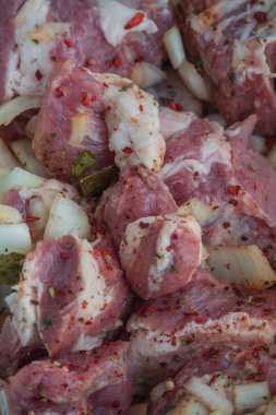 Kebap. Domuz eti ve doğranmış soğan. Yakın plan çekilmiş. Barbeküde soğanlı domuz eti dilimlenmiş. Baharatlı çiğ domuz eti, salamura et. Et yemeği hazırlığı için hazırlık.