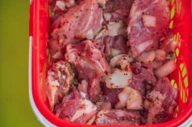 Kebap. Domuz eti ve doğranmış soğan. Yakın plan çekilmiş. Barbeküde soğanlı domuz eti dilimlenmiş. Baharatlı çiğ domuz eti, salamura et. Et yemeği hazırlığı için hazırlık.