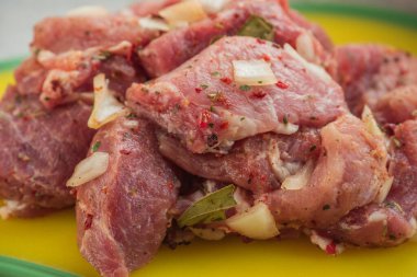 Kebap. Domuz eti ve doğranmış soğan. Yakın plan çekilmiş. Barbeküde soğanlı domuz eti dilimlenmiş. Baharatlı çiğ domuz eti, salamura et. Et yemeği hazırlığı için hazırlık.
