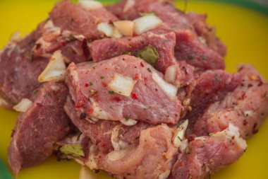 Kebap. Domuz eti ve doğranmış soğan. Yakın plan çekilmiş. Barbeküde soğanlı domuz eti dilimlenmiş. Baharatlı çiğ domuz eti, salamura et. Et yemeği hazırlığı için hazırlık.