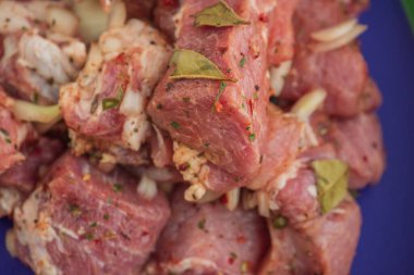 Kebap. Domuz eti ve doğranmış soğan. Yakın plan çekilmiş. Barbeküde soğanlı domuz eti dilimlenmiş. Baharatlı çiğ domuz eti, salamura et. Et yemeği hazırlığı için hazırlık.