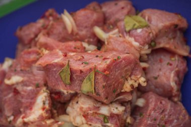 Kebap. Domuz eti ve doğranmış soğan. Yakın plan çekilmiş. Barbeküde soğanlı domuz eti dilimlenmiş. Baharatlı çiğ domuz eti, salamura et. Et yemeği hazırlığı için hazırlık.