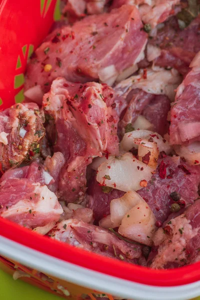 Kebab - pieces of pork and chopped onion, photographed close-up. Pork chopped into pieces on a barbecue with onions. Raw pork in spices, pickled meat. Preparation for the preparation of meat dishes