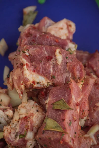 Kebab - pieces of pork and chopped onion, photographed close-up. Pork chopped into pieces on a barbecue with onions. Raw pork in spices, pickled meat. Preparation for the preparation of meat dishes