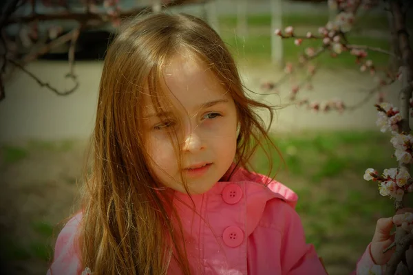 Small Girl Pink Clothes Walking Park Flowering Tree Little Girl — Stock Photo, Image