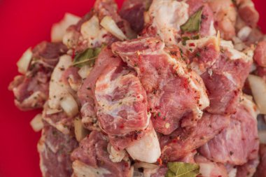 Kebap. Domuz eti ve doğranmış soğan. Yakın plan çekilmiş. Barbeküde soğanlı domuz eti dilimlenmiş. Baharatlı çiğ domuz eti, salamura et. Et yemeği hazırlığı için hazırlık.