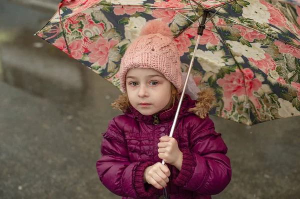 Little girl under the umbrella outside, rainy day. Little girl walks with umbrella under the rain. A child in a pink hat and a purple jacket on a rainy day