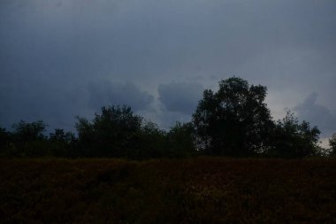Tren penceresinden doğa hareket ediyor. Tren penceresi
