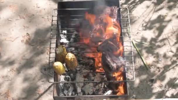 Cozinhar Grandes Bifes Livre Chama Fogueira Estilo Barbeque Camping Natural — Vídeo de Stock