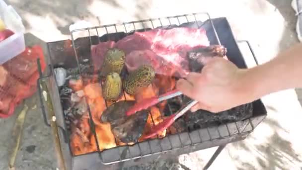 たき火の炎の上で屋外で大きなステーキを調理する自然キャンプバーベキュー石炭やハイキングキャンプでの火災と薪スタイル たき火のステーキ料理 ストリートキッチン うまい肉 — ストック動画
