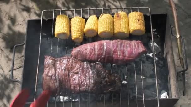Kochen Große Steaks Freien Auf Lagerfeuer Natürliche Camping Grill Stil — Stockvideo