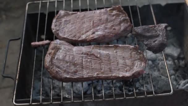 Grote Biefstuk Koken Buiten Kampvuur Vlam Natuurlijke Camping Barbeque Stijl — Stockvideo