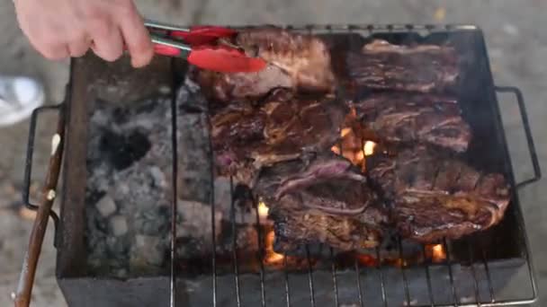 たき火の炎の上で屋外で大きなステーキを調理する自然キャンプバーベキュー石炭やハイキングキャンプでの火災と薪スタイル たき火のステーキ料理 ストリートキッチン うまい肉 — ストック動画
