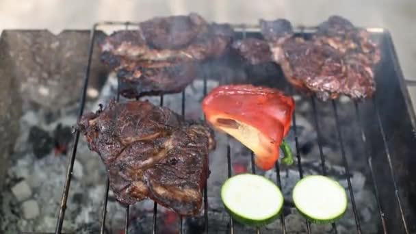 Főzés Nagy Steak Szabadban Tábortűz Láng Természetes Camping Grill Stílus — Stock videók