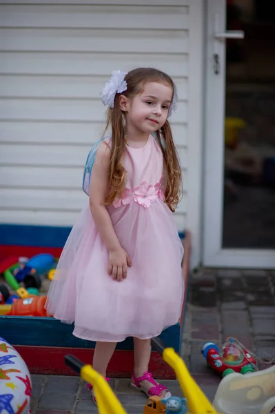 Menina Bonito Cinco Anos Idade Vestido Princesa Rosa Retrato Uma — Fotografia de Stock