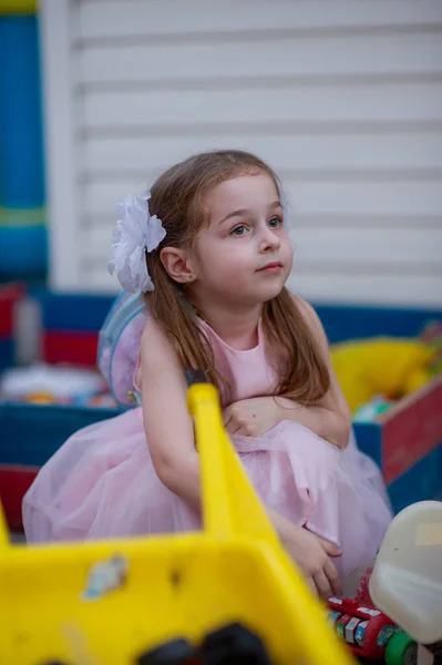 Menina Bonito Cinco Anos Idade Vestido Princesa Rosa Retrato Uma — Fotografia de Stock