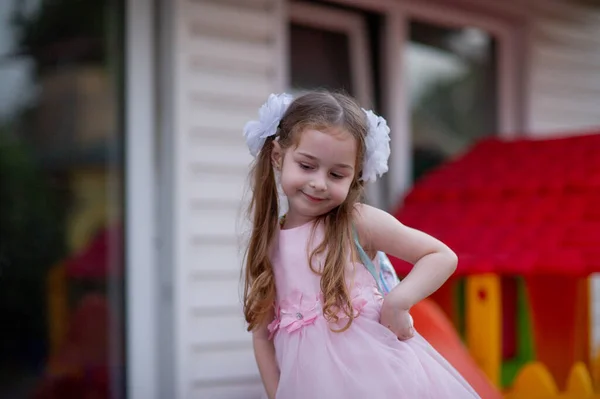 Cute Five Year Old Girl Pink Princess Dress Portrait Happy — Stock Photo, Image