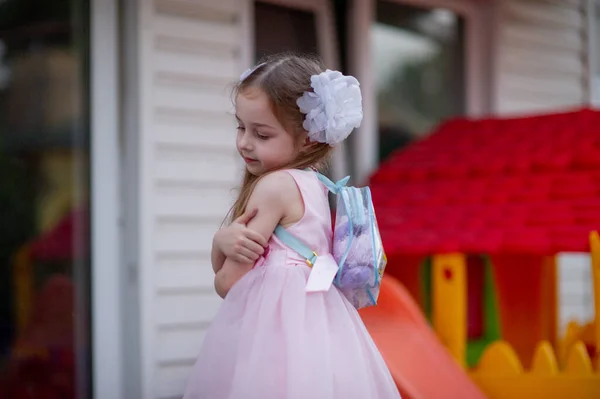 Schattig Vijfjarig Meisje Een Roze Prinsessenjurk Portret Van Een Gelukkig — Stockfoto