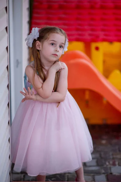 Linda Niña Cinco Años Vestido Princesa Rosa Retrato Una Chica —  Fotos de Stock