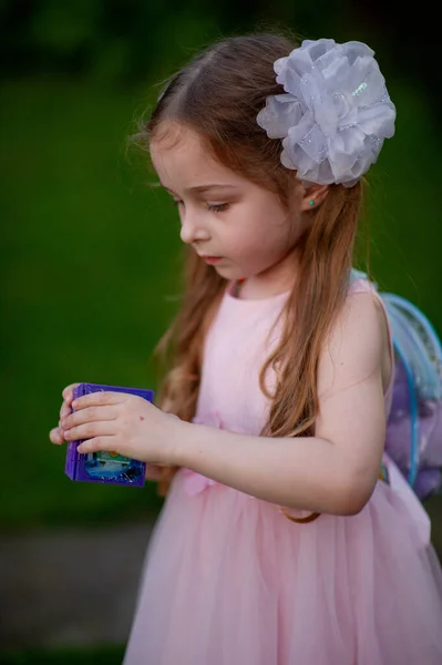 Schattig Vijfjarig Meisje Een Roze Prinsessenjurk Portret Van Een Gelukkig — Stockfoto