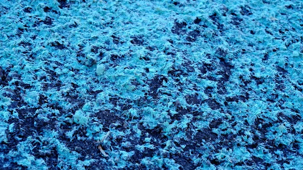 Malç yere saçıldı. Toprak için gübre