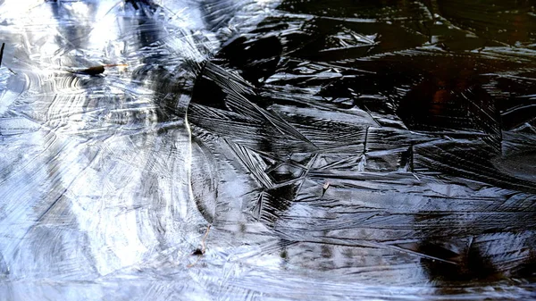 Hielo Fino Lago Bosque Hojas Caídas Árboles Bajo Hielo — Foto de Stock