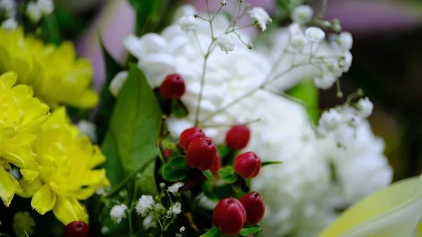 Brotes Flores Fondo Floral Desenfocado Borroso Para Tarjetas Navideñas — Foto de Stock