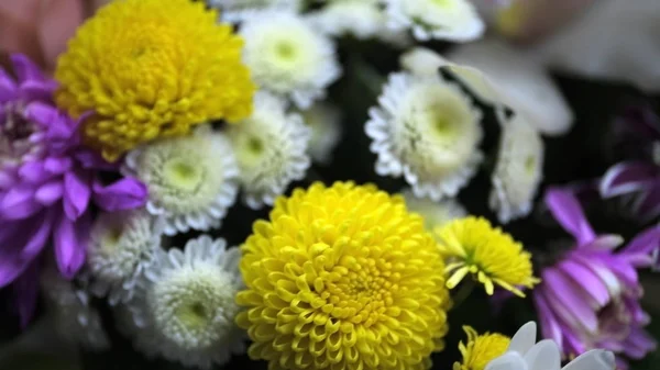 Botões Flores Desfocado Fundo Floral Desfocado Para Cartões Férias — Fotografia de Stock