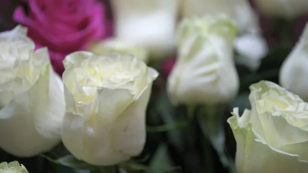 Квіткові Бруньки Розфокусований Розмитий Квітковий Фон Листівок — стокове фото