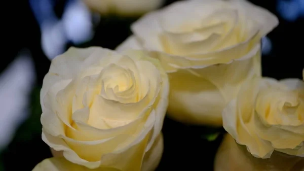 Brotes Flores Desenfocado Fondo Floral Borroso Para Tarjetas Vacaciones — Foto de Stock