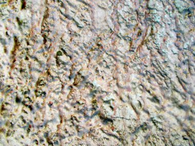 Duvara boyanmış bir bina. Web tasarımı için bulanık odaklı resim