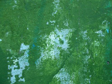 Duvara boyanmış bir bina. Web tasarımı için bulanık odaklı resim