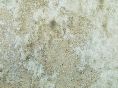 Binanın beton duvarı. Web tasarımı için bulanık odaklanmış arkaplan.