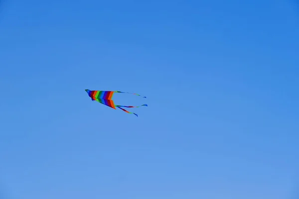 Brinquedo Infantil Crianças Voam Kite Background Voador Imagem Para Web — Fotografia de Stock