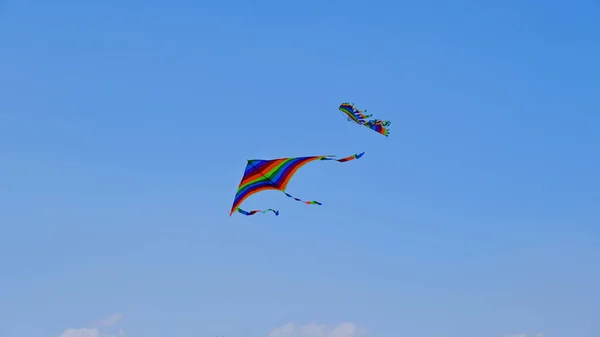 Brinquedo Infantil Crianças Voam Kite Background Voador Imagem Para Web — Fotografia de Stock