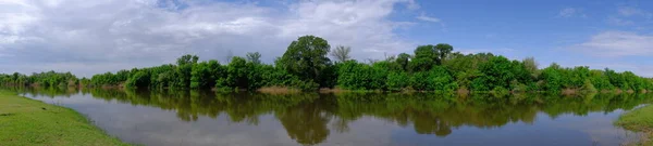 洪水の中で川の木々 ウェブデザインのためのパノラマの風景 — ストック写真