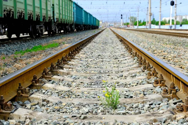 Rusya Demiryolu Rayları Beton Uykucular Web Tasarımı Için Arkaplan Resmi — Stok fotoğraf